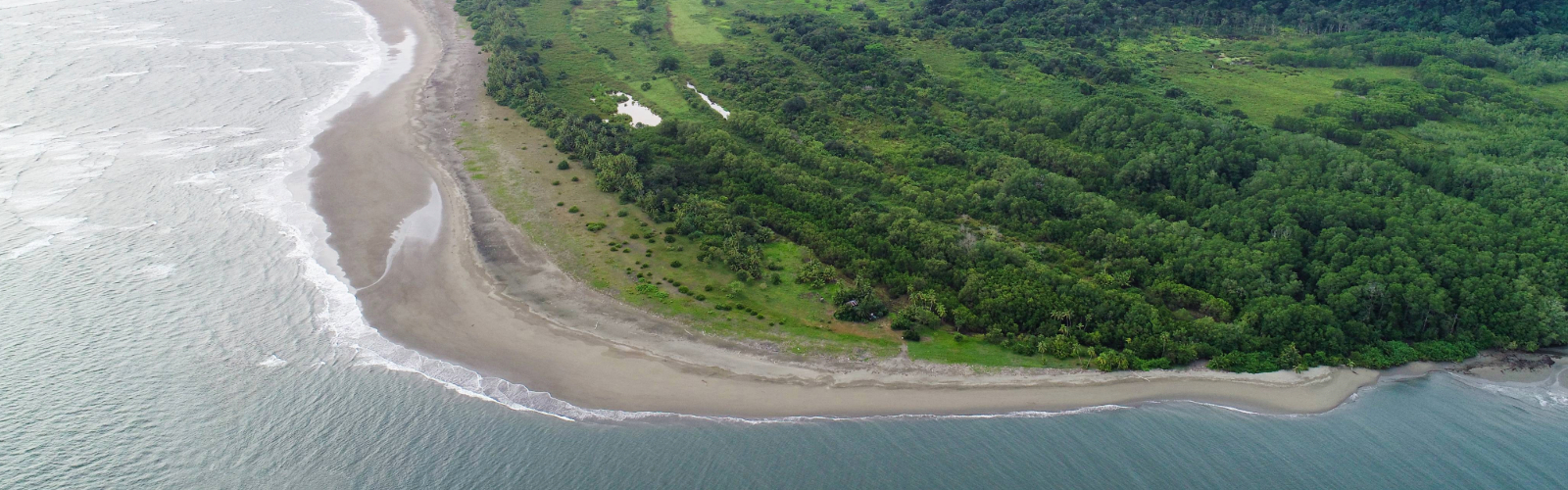 Isla Violin: The Treasure Hunters and Lost Legends of the Osa Peninsula