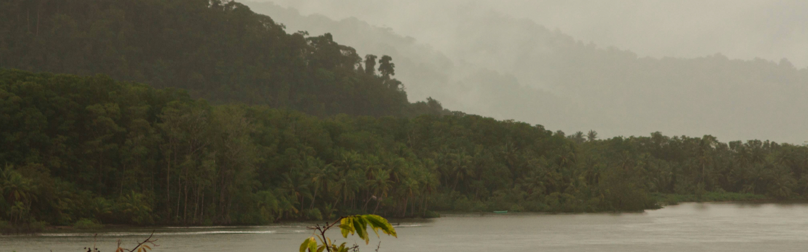 Skip the Starbucks, Embrace the Chorreador: Coffee the Costa Rican Way