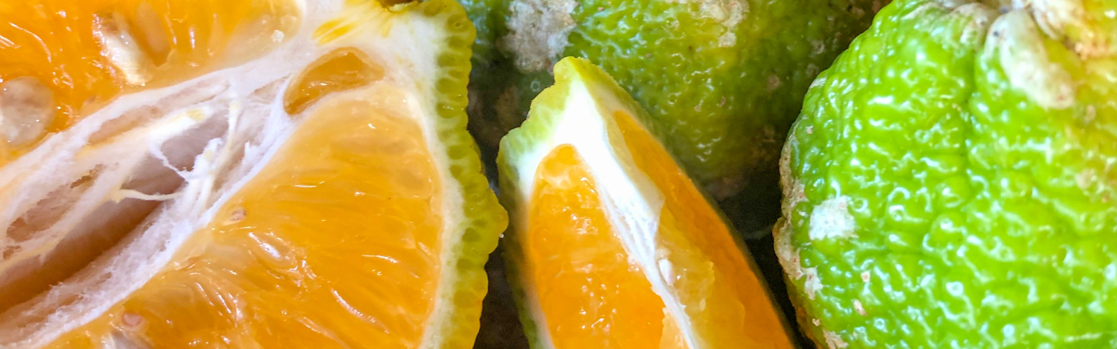 The Greatest Fruit on Earth: Why We’re Obsessed with Costa Rican Limes